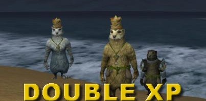 Schnellerer Stufenaufstieg mit der Doppel-XP Aktion