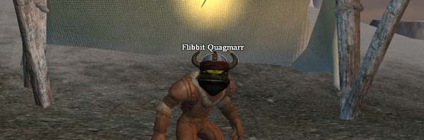 EverQuest 2 - Flibbit Quagmarr
