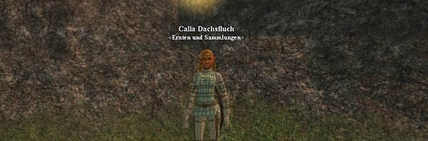 EverQuest 2 - Ausbilderin Calla Dachsfluch